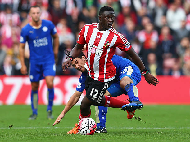 养球员的大 养球员的大